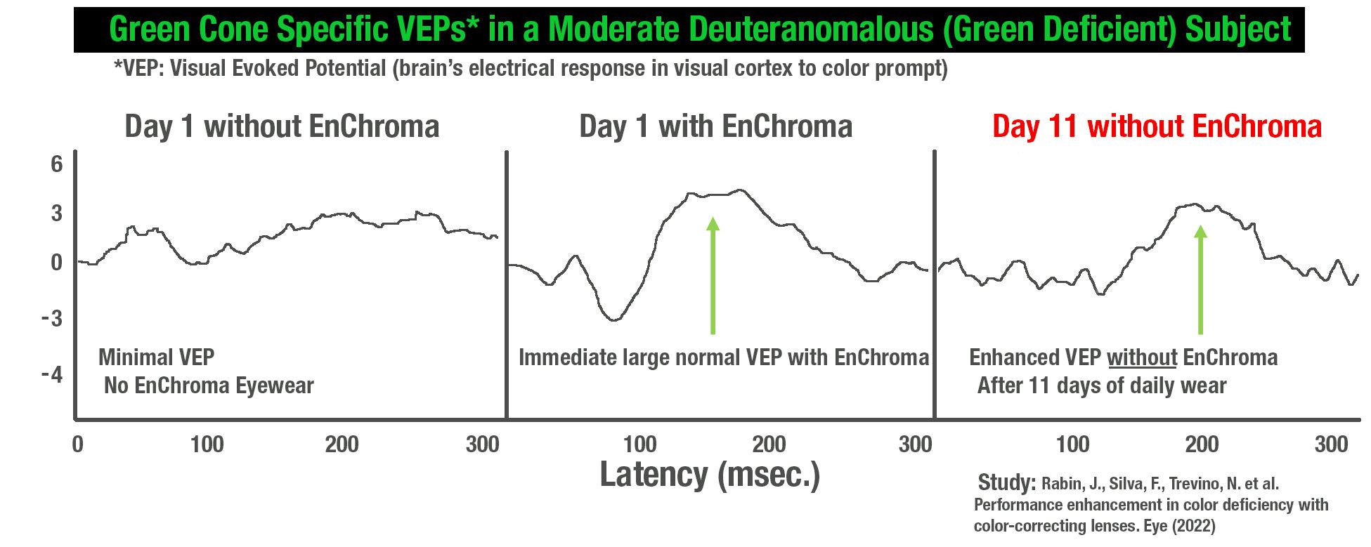 Green Cone Specific VEPs in a Moderate Deuteranomalous (Green Deficient) Subject